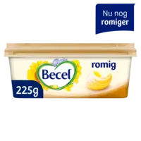 Becel Romig